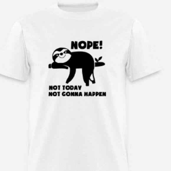 Nope Not Today - Picture 1 of 1
